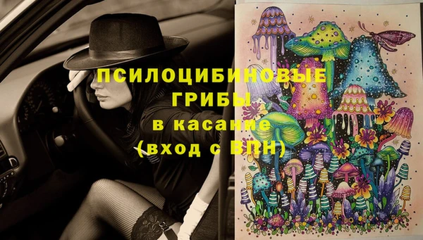 не бодяженный Алексин